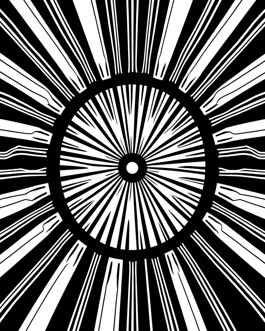 Radial Sunburst Black White Concentric Rug