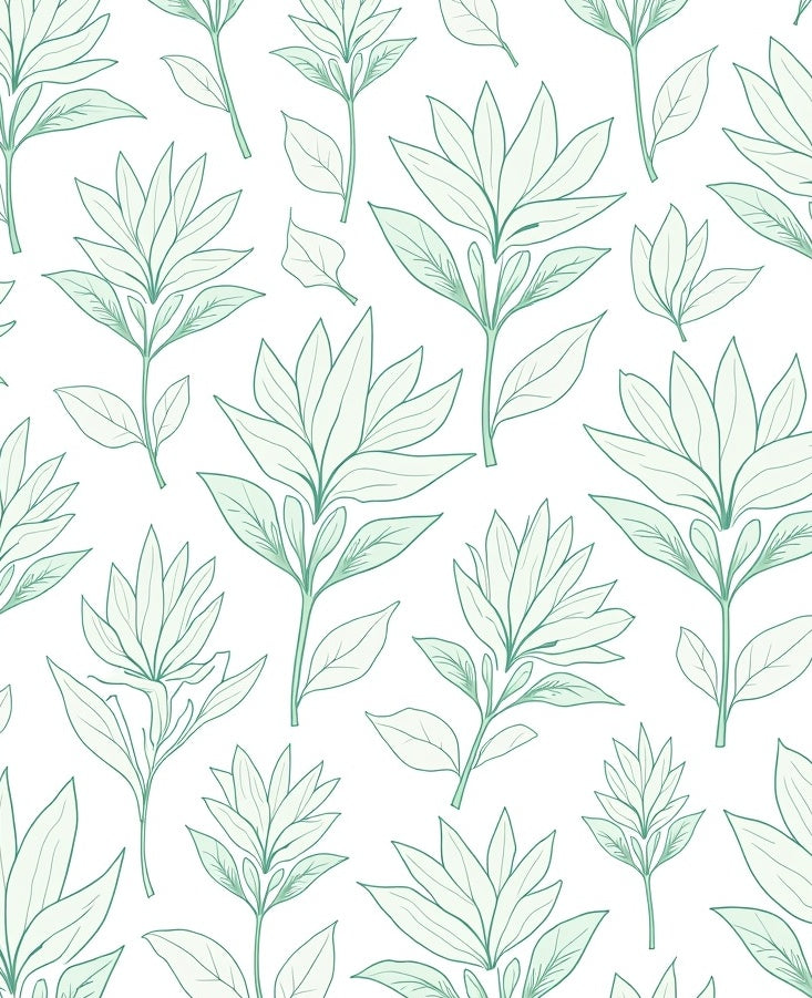 Mint Green Botanical Outline Harmony Rug