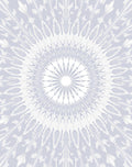 Light Blue Feathered Sunburst Mandala Rug