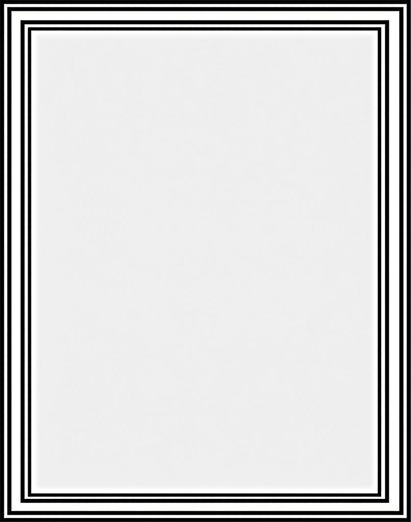 Monochromatic Black and White Border Rug