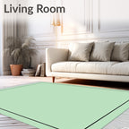 Pale Green Bordered Flat Weave Accent Rug
