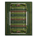 Whimsical Pig Football Field Graphic Rug