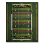 Whimsical Pig Football Field Graphic Rug