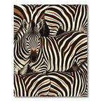 Bold Brown White Zebra Stripes Rug