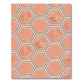 Coral Hexagon Tessellation Texture Rug