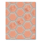 Coral Hexagon Tessellation Texture Rug