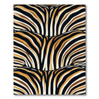 Bold Zebra Stripe Accent Rug