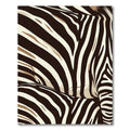 Bold Chocolate Zebra Stripes Rug
