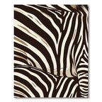 Bold Chocolate Zebra Stripes Rug