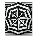 Bold Black White Starburst Stripes Rug