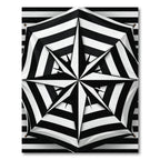 Bold Black White Starburst Stripes Rug