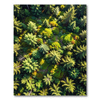 Lush Emerald Forest Moss Canopy Rug