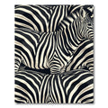 Bold Black White Zebra Stripe Collage Rug