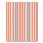 Warm Terracotta Twin Stripe Rug