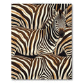 Bold Realistic Brown Zebra Stripe Rug