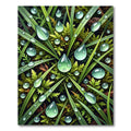 Lush Green Dewy Grass Forest Rug