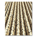 Woven Earth Tone Vertical Stripes Rug