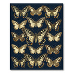 Vintage Navy Butterfly Botanical Field Rug