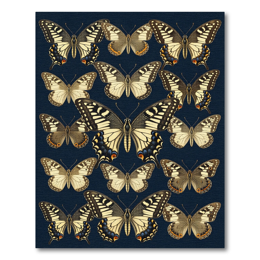 Vintage Navy Butterfly Botanical Field Rug