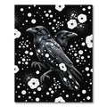 Black Raven White Dot Constellation Rug