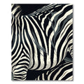 Bold Black Ivory Zebra Stripes Rug