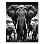 Black and White Majestic Elephant Herd Rug