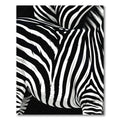 Bold Monochrome Zebra Animal Stripe Rug