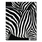 Bold Monochrome Zebra Animal Stripe Rug