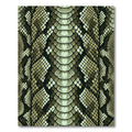 Exotic Olive Green Python Scales Rug