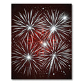 Red White Burst Celebration Fireworks Rug
