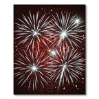 Red White Burst Celebration Fireworks Rug