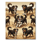 Playful Brown Tri-Color Border Collie Rug