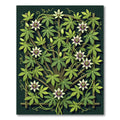 Botanical Passion Flower Forest Green Trellis Rug