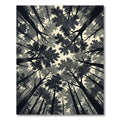 Monochrome Forest Canopy Low Angle View Rug