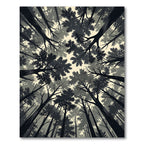 Monochrome Forest Canopy Low Angle View Rug
