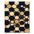 Modern Geometric Black and Gold Hexagon Rug