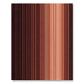 Rich Earth Tone Vertical Stripe Rug
