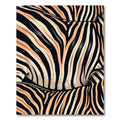 Coral Black Zebra Stripes Rug