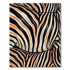Coral Black Zebra Stripes Rug