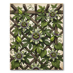 Botanical Passion Flower Trellis Rug