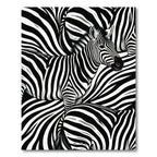 Striking Mono Zebra Graphic Art Rug