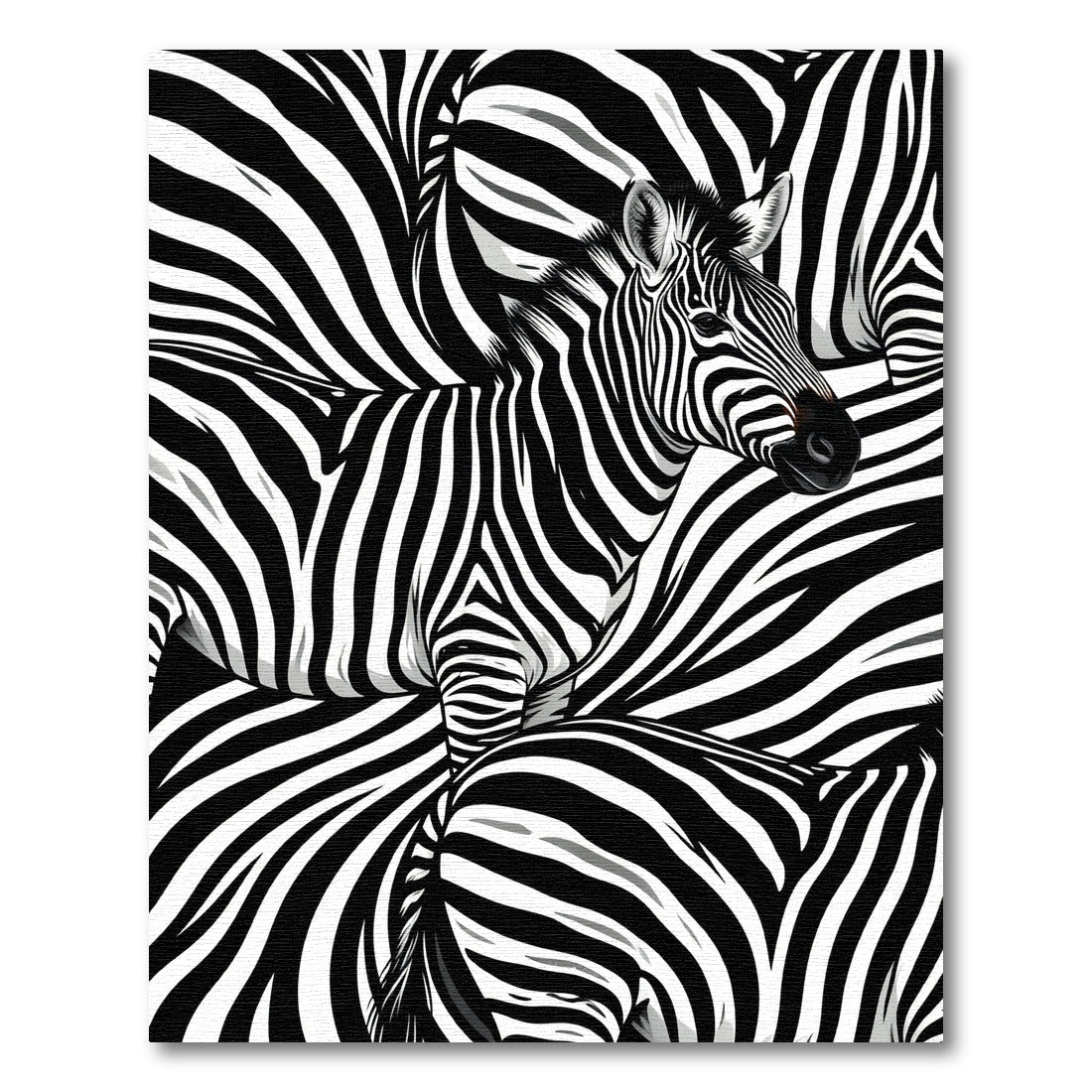 Striking Mono Zebra Graphic Art Rug