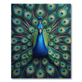 Majestic Teal Peacock Feather Radiance Rug